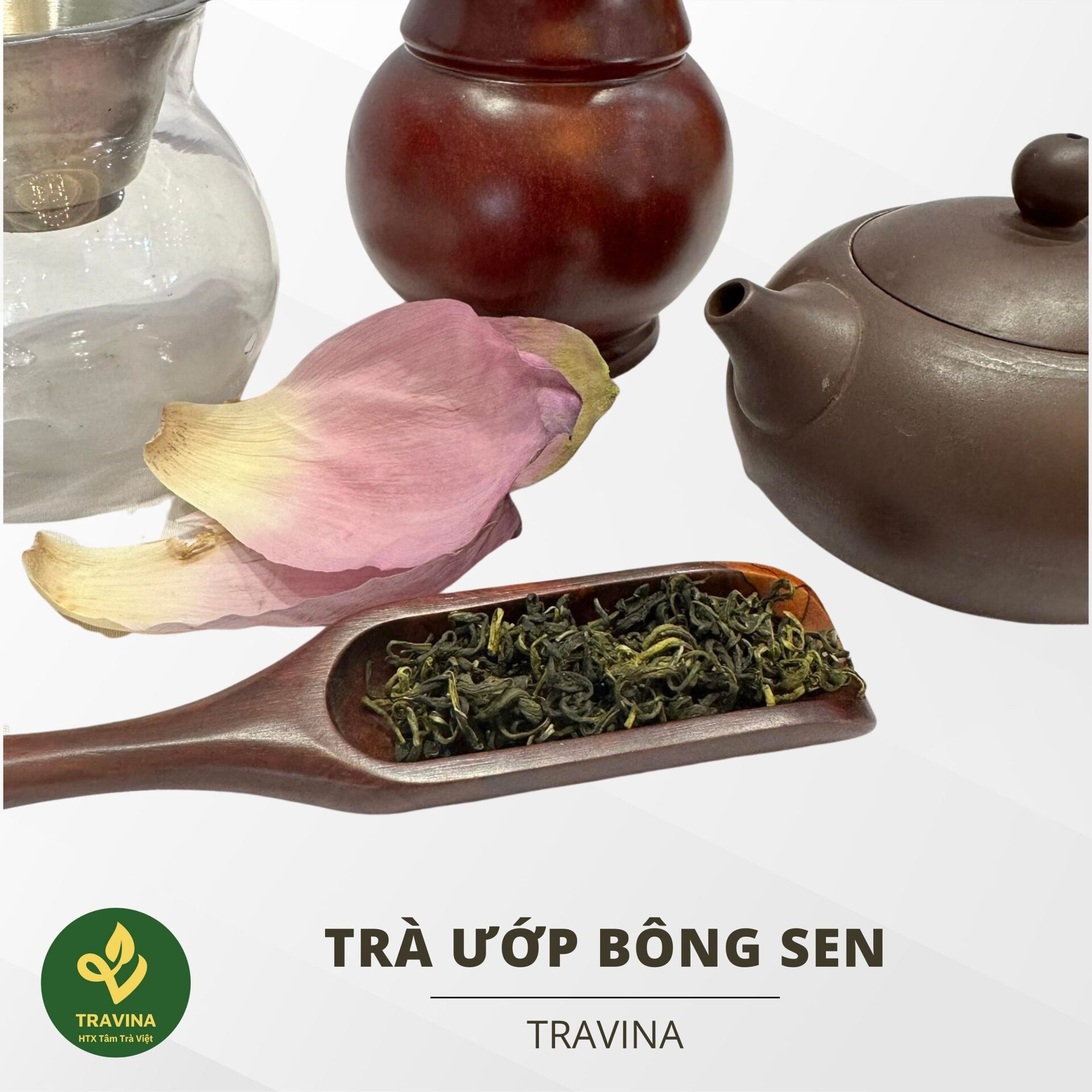 Trà hoa sen tây hồ htx tâm trà việt (4)