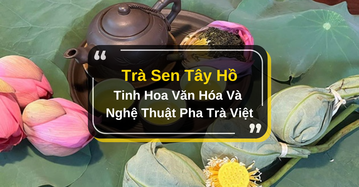 Trà sen tây hồ 7 – Trà Tía Tô là gì? Công dụng và những lưu ý