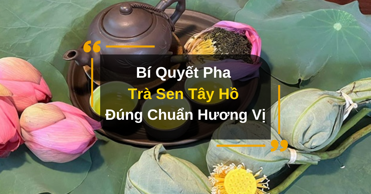 Trà sen tây hồ 9 – Bí Quyết Pha Trà Sen Tây Hồ Đúng Chuẩn Hương