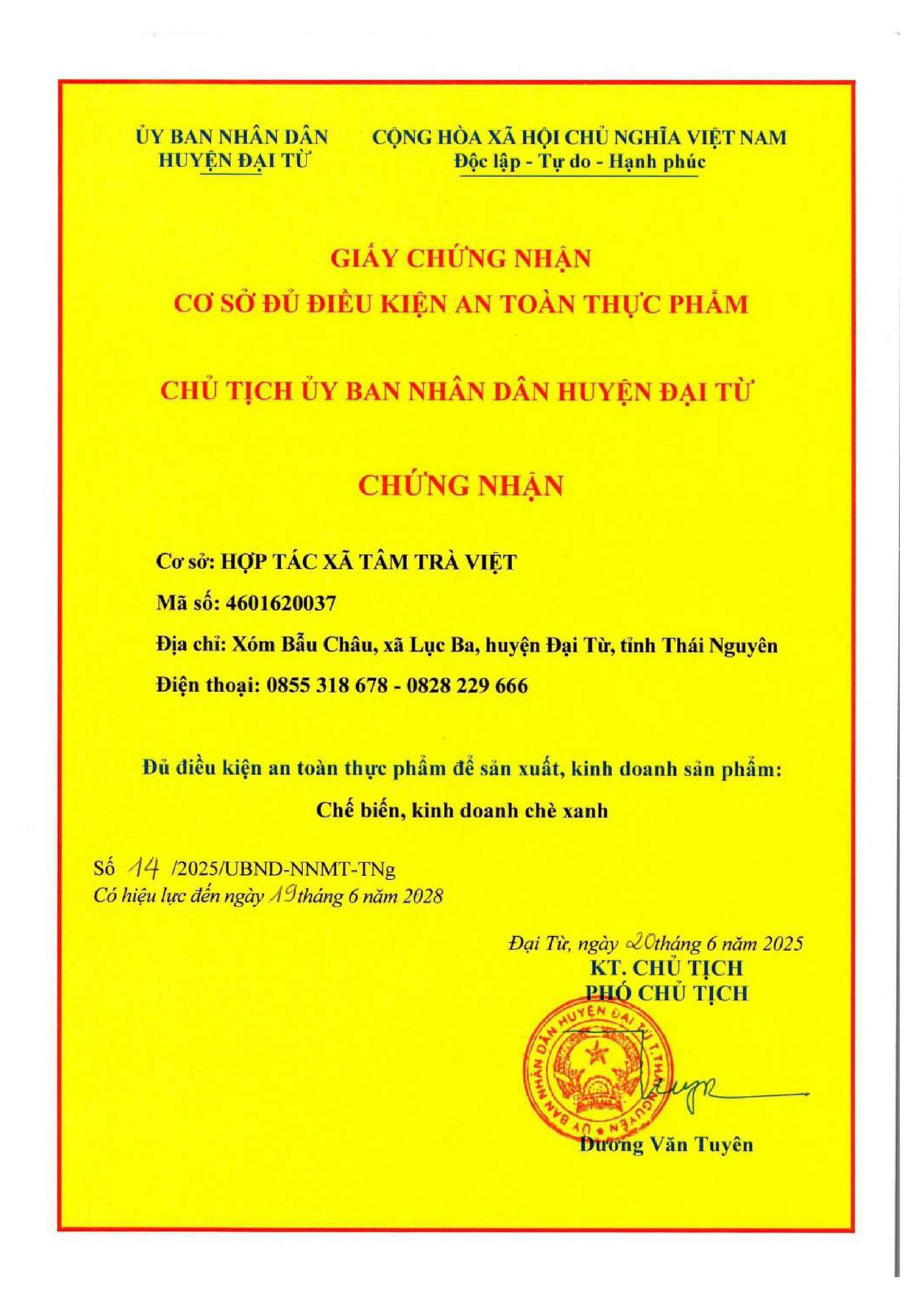 Hương Trà — Đỗ Trọng Huề Top 5 Lý Do Nên Chọn Trà Tấm Đinh