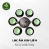 Bộ ấm Lục Ẩm Kim Liên – HTX Tâm Trà Việt – trà Thái Nguyên chuẩn VietGAP