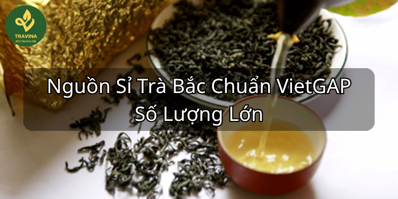 Nét Đẹp Dâng Trà Trong Các Lễ Hội Mùa Thu Việt Nam Trà Thái Nguyên HTX Tâm Trà Việt – Trà Bắc Truyền Thống Travina Có Đáng Giá 250k