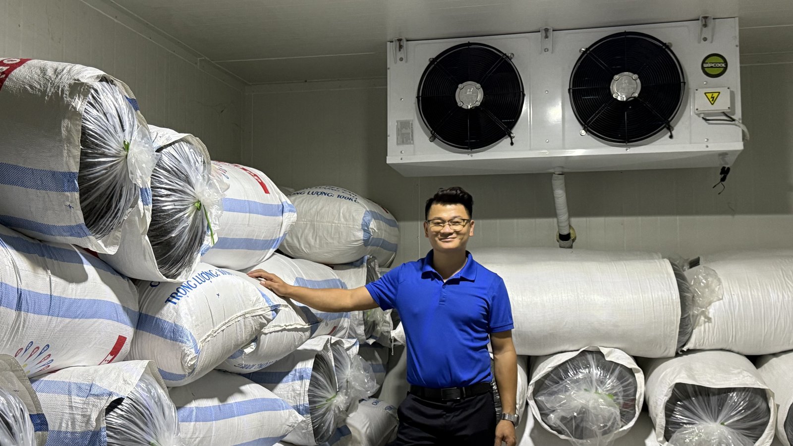 Mở đại lý trà Thái Nguyên ở TP.HCM: một phường đã là một thị trường, và bài toán trữ hàng Đồi chè Đại Từ — vùng nguyên liệu cho đại lý trà Thái Nguyên ở TP.HCM