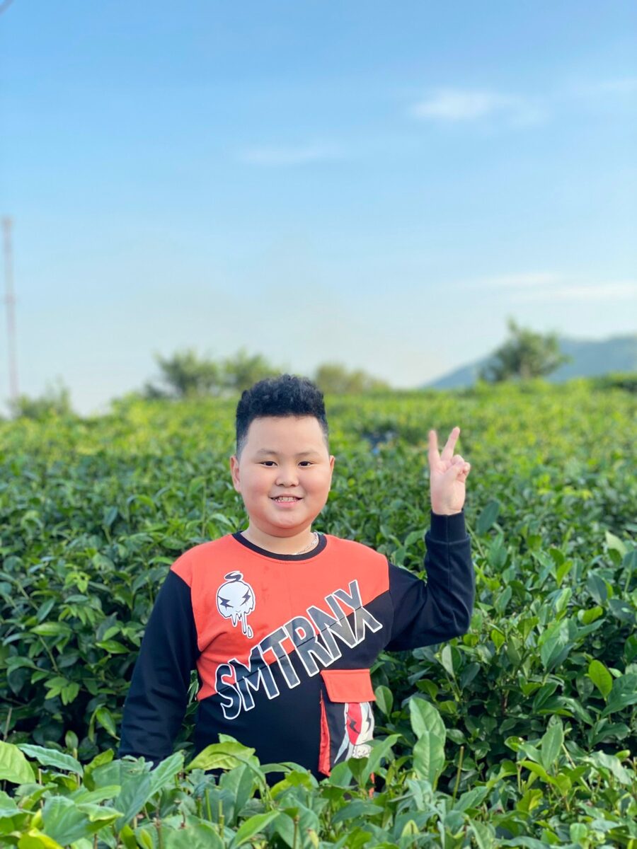 Phòng trà chọn trà Đinh Ngọc: 3 tầng hàng và giá vốn mỗi ấm Đứng giữa đồi chè lúc sáng sớm