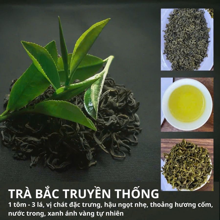 Trà Bắc Truyền Thống của HTX Tâm Trà Việt: tiêu chuẩn hái 1 tôm – 3 lá, vị chát đặc trưng, hậu ngọt nhẹ, thoảng hương cốm, nước trong, xanh ánh vàng tự nhiên