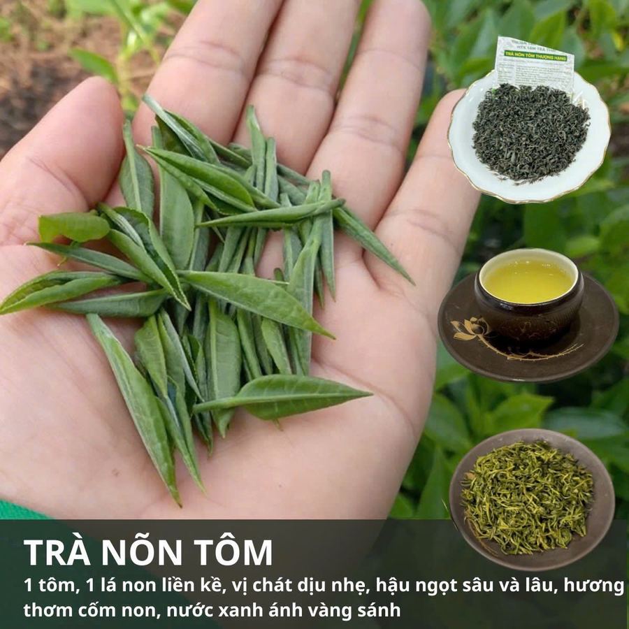 Trà Nõn Tôm của HTX Tâm Trà Việt: tiêu chuẩn hái 1 tôm, 1 lá non liền kề, chát dịu nhẹ, hậu ngọt sâu và lâu, hương cốm non, nước xanh ánh vàng, sánh