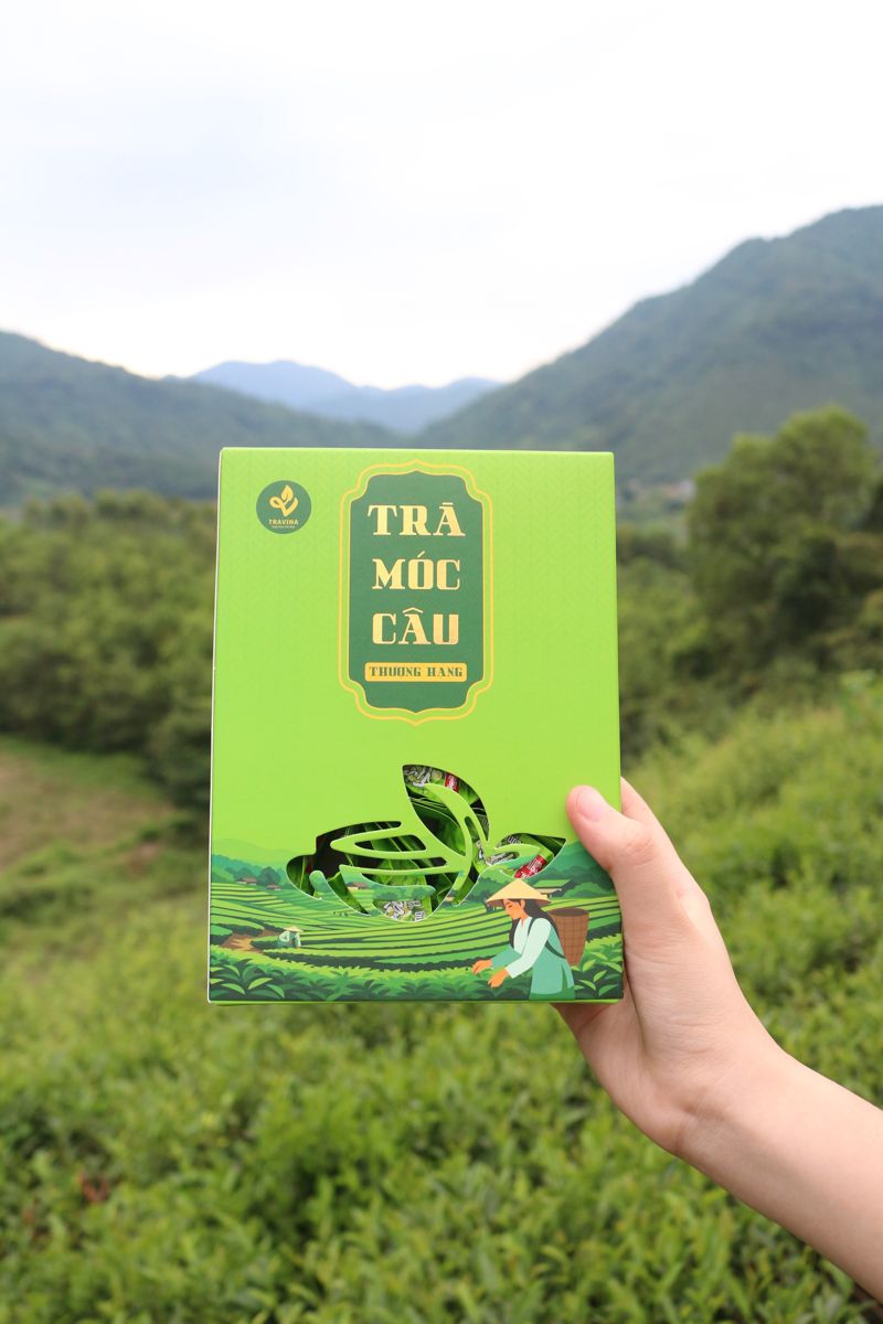 Hộp Trà Móc Câu Đặc Biệt giữa vườn chè