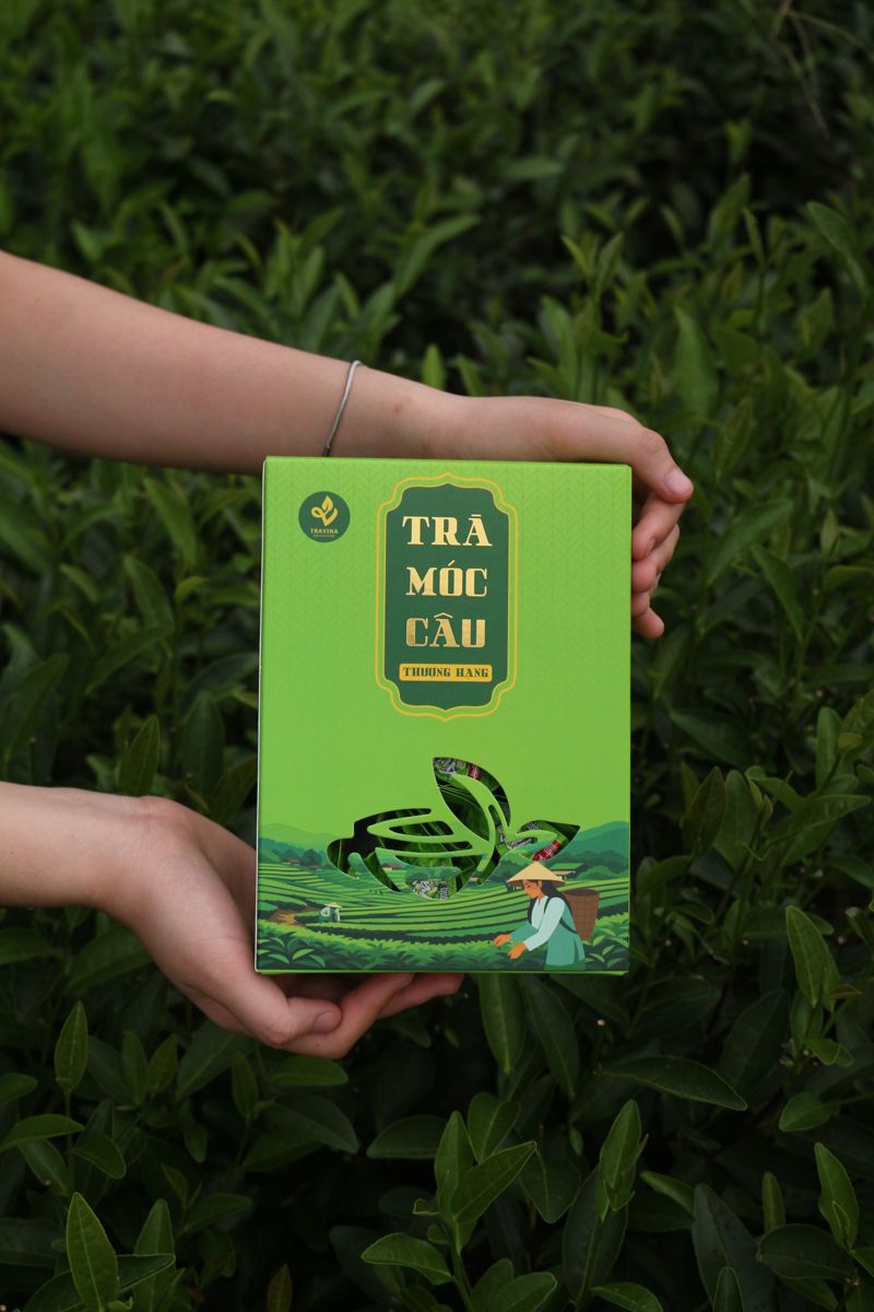 Hộp Trà Móc Câu Đặc Biệt chụp trên đồi chè HTX