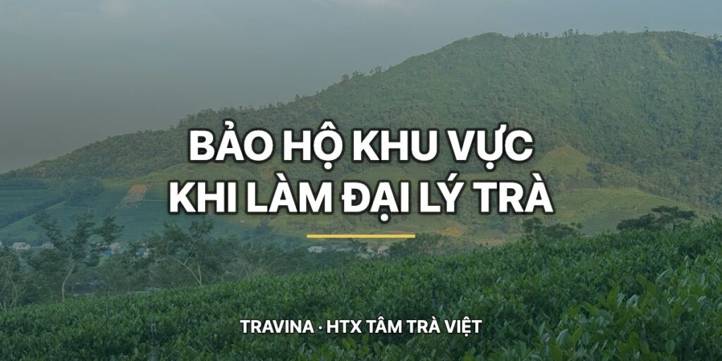 Bảo hộ khu vực khi làm đại lý trà: cam kết thế nào mới có giá trị htx bao ho khu vuc dai ly tra vung che dai tu