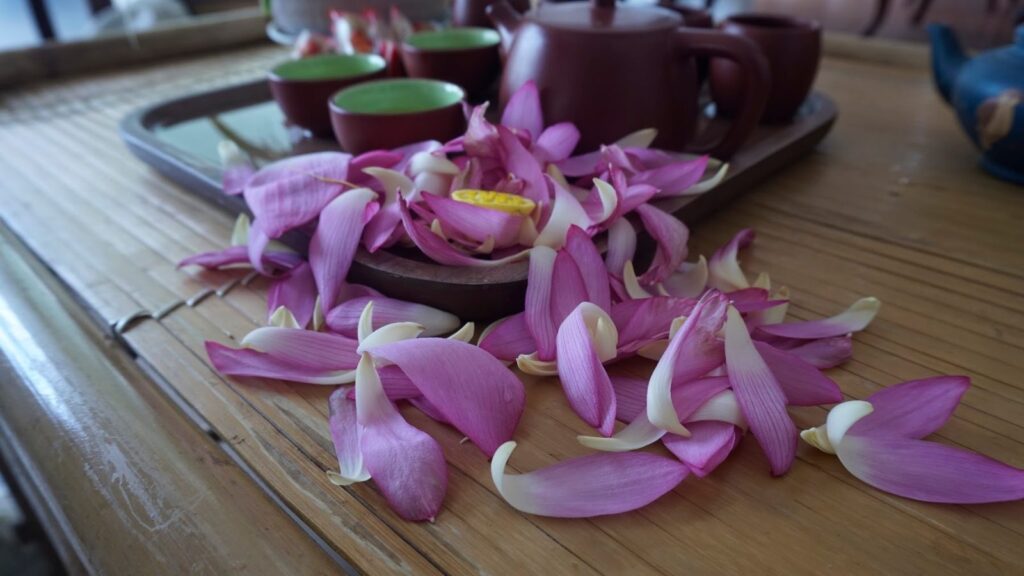 Cánh sen rải trên bàn cạnh ấm chén trà