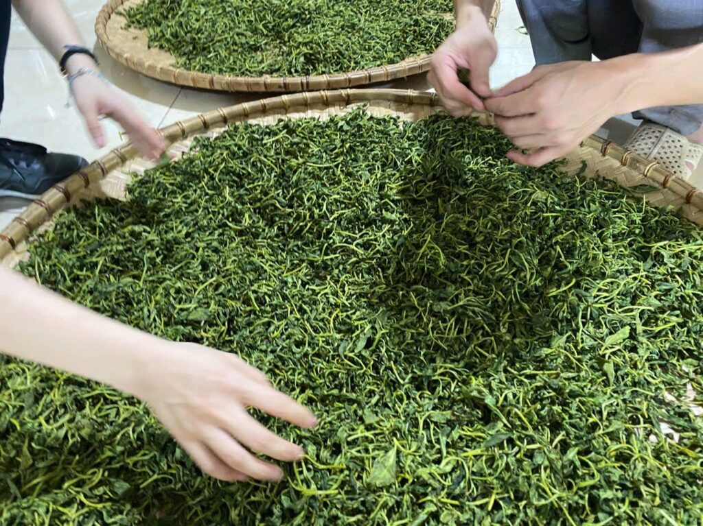 Khảo sát một cơ sở ướp hương: danh mục kiểm trong 90 phút Chè búp tươi vừa hái