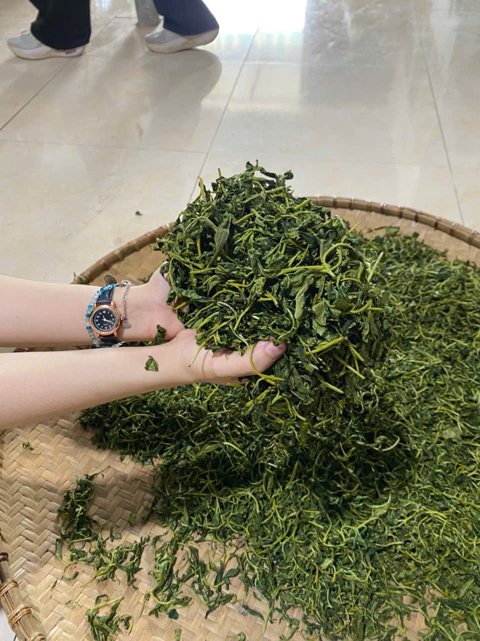 Chè búp tươi vừa hái