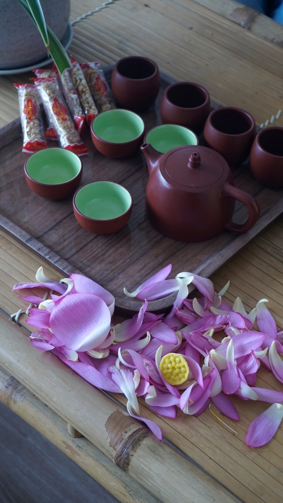 Mười hai câu nhân viên bán trà không được nói tại quầy Ấm chén tử sa bên cánh sen hồng