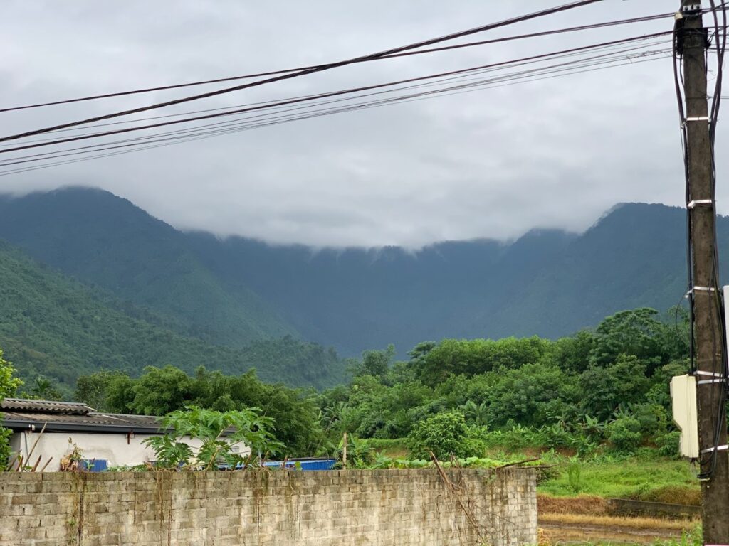Đồi chè vùng nguyên liệu Thái Nguyên