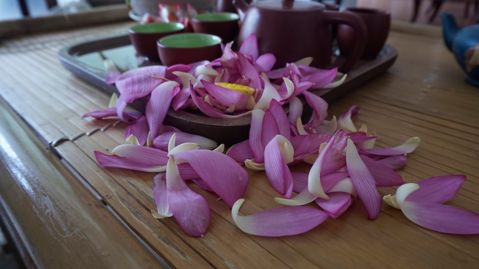 Cánh sen trải bàn bên chén trà sen