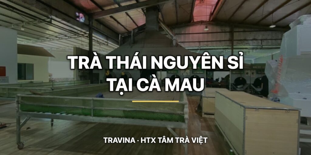 Trà Thái Nguyên tại Cà Mau cho dịch vụ nấu tiệc, nhà hàng tiệc cưới và rạp cưới: tính lượng trà theo bàn htx tra thai nguyen si ca mau vung che dai tu