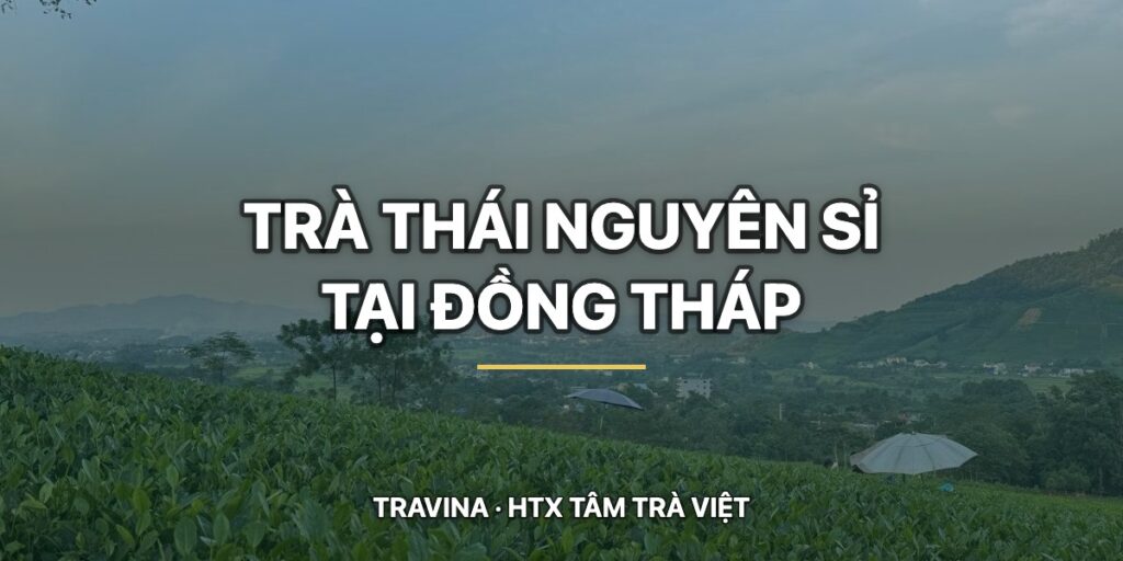 Trà Thái Nguyên sỉ tại Đồng Tháp mới: trà đá quán cơm, cà phê võng, tạp hoá chợ và đám giỗ miền Tây Trà Thái Nguyên sỉ tại Đồng Tháp – vùng chè Đại Từ, La Bằng của HTX Tâm Trà Việt