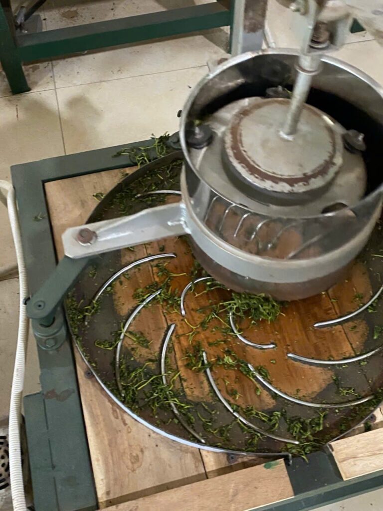 Công đoạn chế biến chè tại xưởng