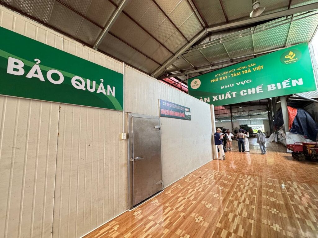 Công đoạn chế biến chè tại xưởng