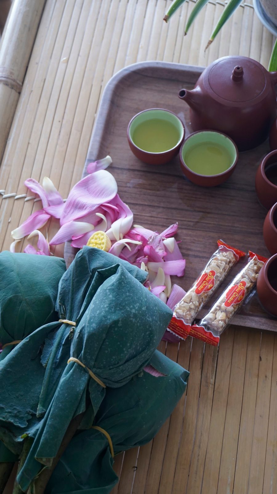 Bông sen bọc lá sen giữa cánh sen