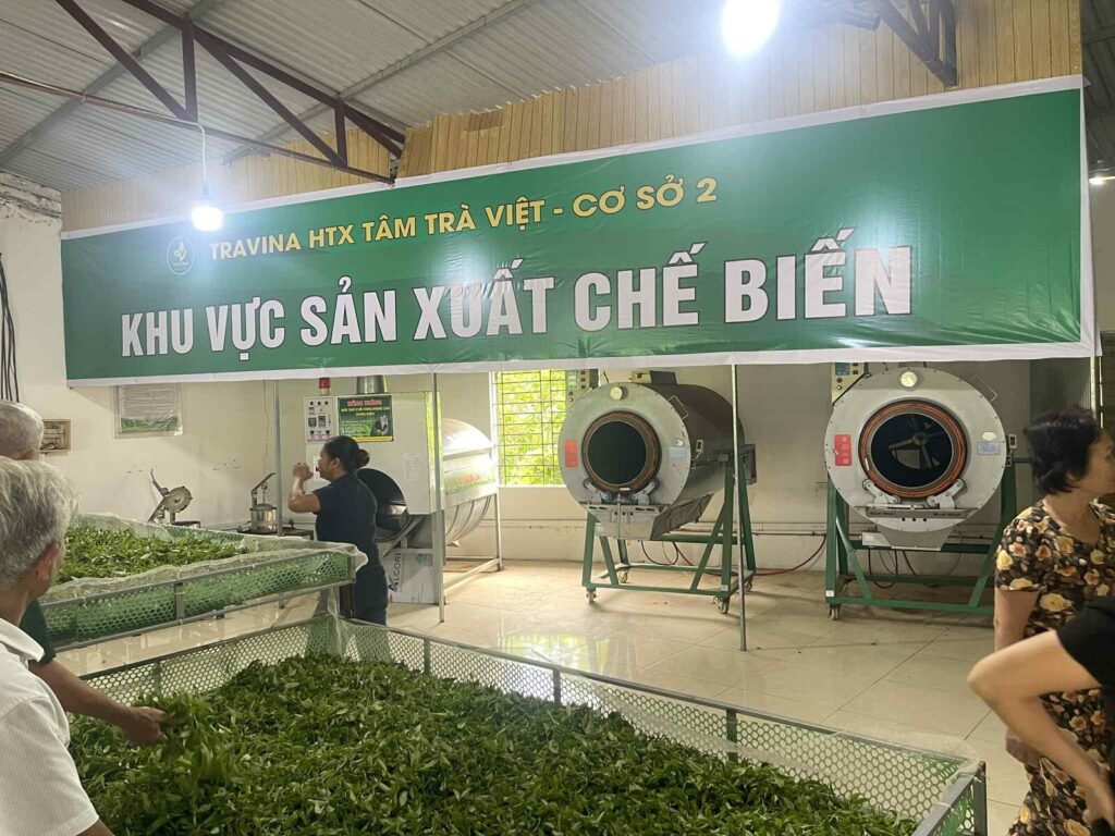 Máy sao chè trong khu vực sản xuất chế biến cơ sở 2 của TRAVINA
