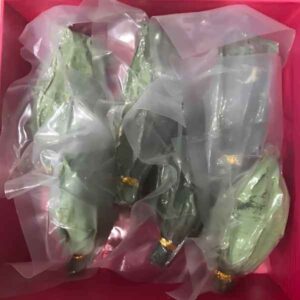 Trà Sen Tây Hồ – HTX Tâm Trà Việt – Trà Thái Nguyên chuẩn VietGap – hoa sen