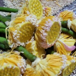 Gạo sen Bách Diệp phơi trên nong cùng nhụy sen trước khi ướp vào trà nõn Thái Nguyên