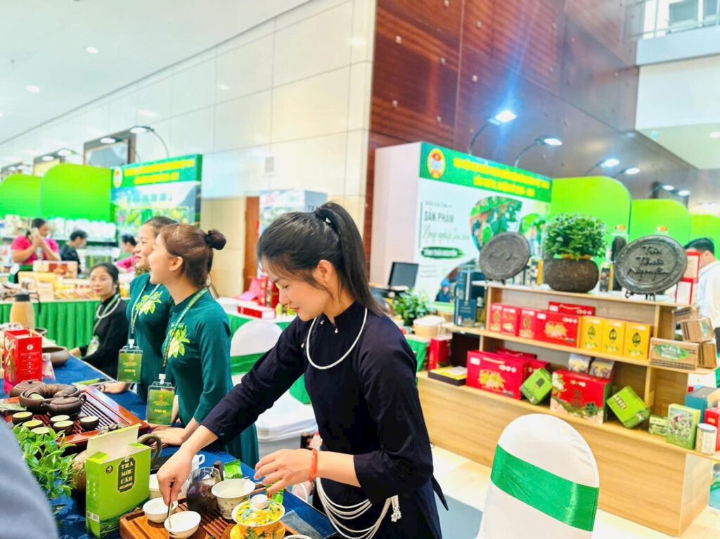 TRAVINA phục vụ trà Thái Nguyên tại Đại hội đại biểu toàn quốc Hội Nông dân Việt Nam lần thứ IX Xã viên HTX Tâm Trà Việt pha trà Móc Câu Thái Nguyên phục vụ đại biểu tại Không gian trưng bày sản phẩm nông nghiệp tiêu biểu, Đại hội Hội Nông dân Việt Nam lần thứ IX