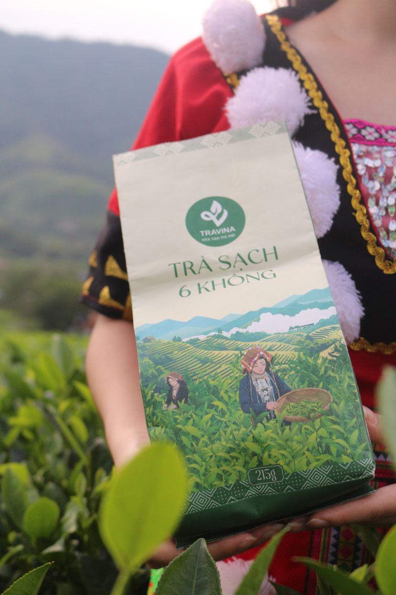 Túi Trà Sạch 6 Không trên đồi chè