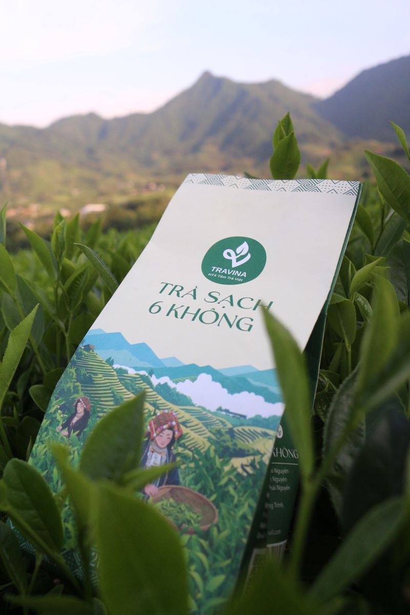 Túi Trà Sạch 6 Không giữa vùng chè