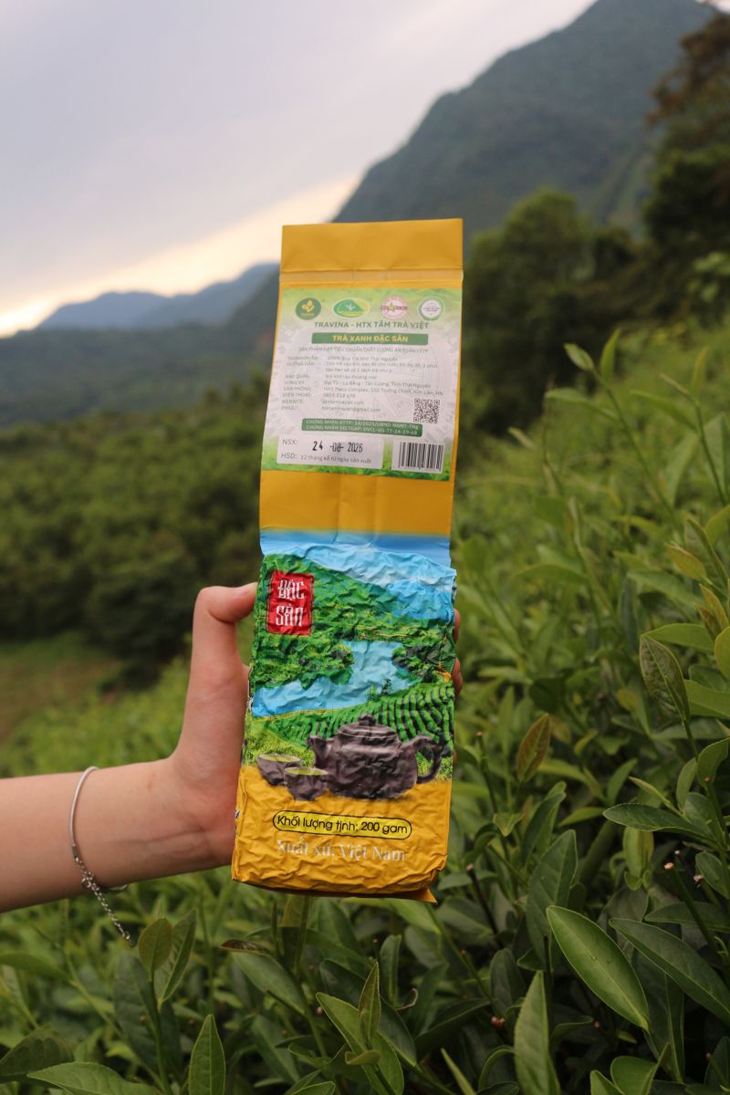 Trà Xanh Đặc Sản - HTX Tâm Trà Việt - Trà Thái Nguyên chuẩn VietGap Túi Trà Xanh Đặc Sản trên đồi chè HTX