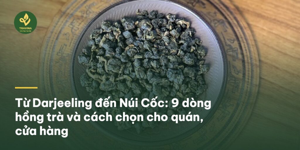 Từ Darjeeling đến Núi Cốc: 9 dòng hồng trà và cách chọn cho quán, cửa hàng Từ Darjeeling đến Núi Cốc: 9 dòng hồng trà và cách chọn cho quán, cửa hàng