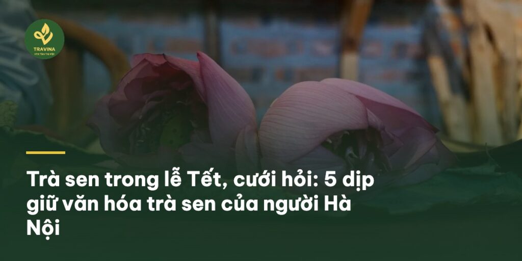 Trà sen trong lễ Tết, cưới hỏi: 5 dịp giữ văn hóa trà sen của người Hà Nội