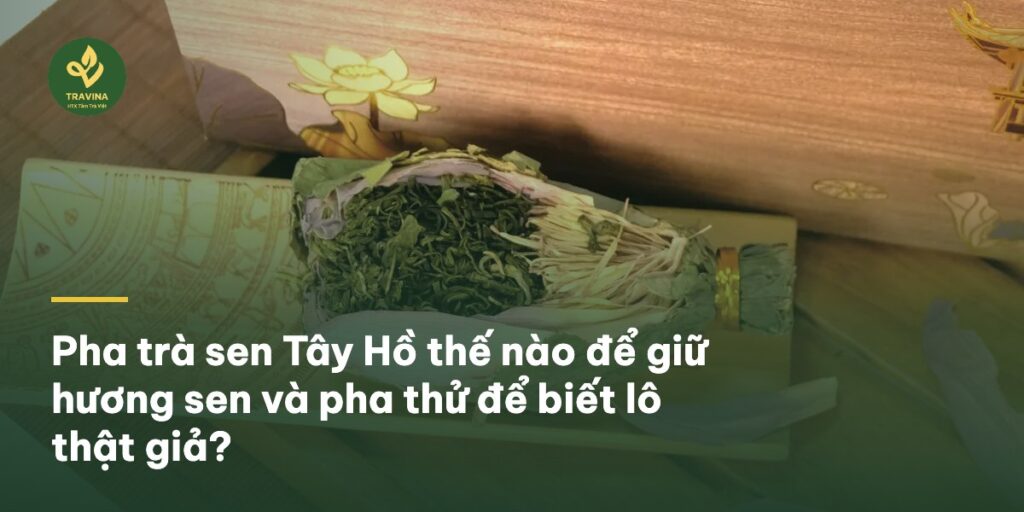 Pha trà sen Tây Hồ thế nào để giữ hương sen và pha thử để biết lô thật giả? Pha trà sen Tây Hồ thế nào để giữ hương sen và pha thử để biết lô thật giả?