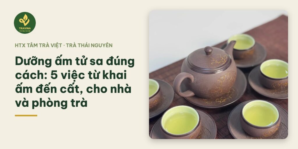 Dưỡng ấm tử sa đúng cách: 5 việc từ khai ấm đến cất, cho nhà và phòng trà
