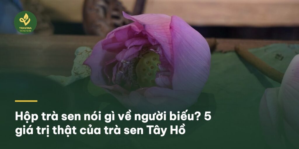 Hộp trà sen nói gì về người biếu? 5 giá trị thật của trà sen Tây Hồ Hộp trà sen nói gì về người biếu? 5 giá trị thật của trà sen Tây Hồ