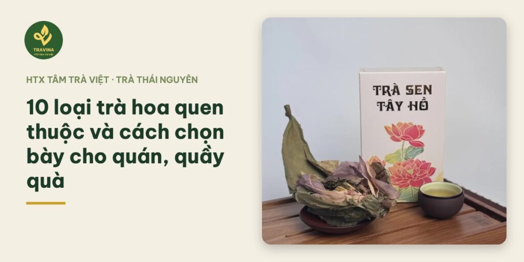 10 loại trà hoa quen thuộc và cách chọn bày cho quán, quầy quà