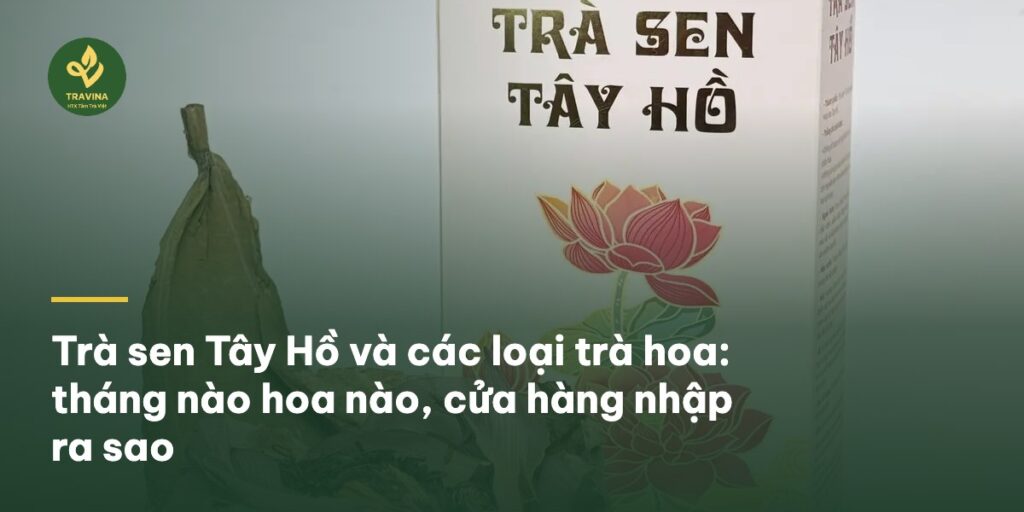 Trà sen Tây Hồ và các loại trà hoa: tháng nào hoa nào, cửa hàng nhập ra sao