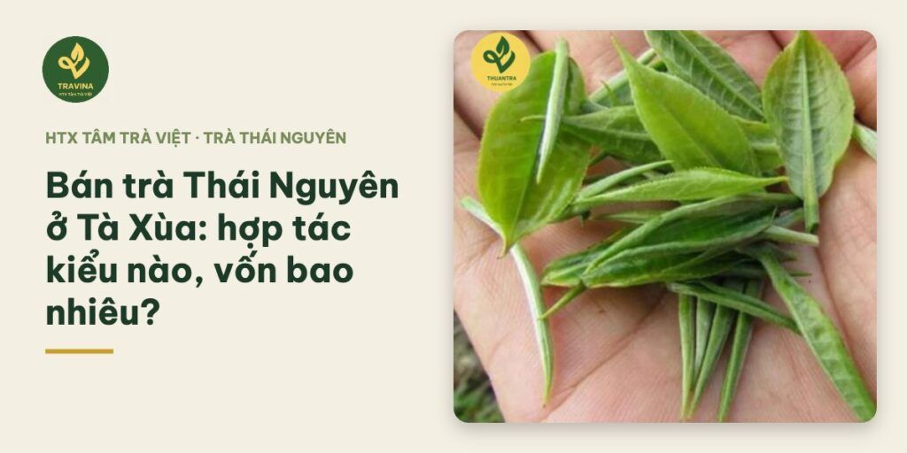 Bán trà Thái Nguyên ở Tà Xùa: hợp tác kiểu nào, vốn bao nhiêu? Bán trà Thái Nguyên ở Tà Xùa: hợp tác kiểu nào, vốn bao nhiêu?