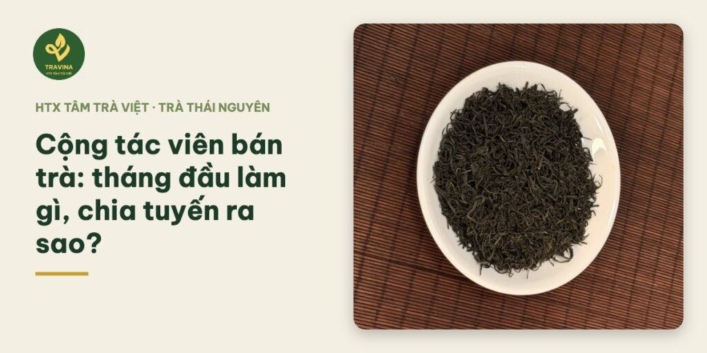 Cộng tác viên bán trà: tháng đầu làm gì, chia tuyến ra sao?