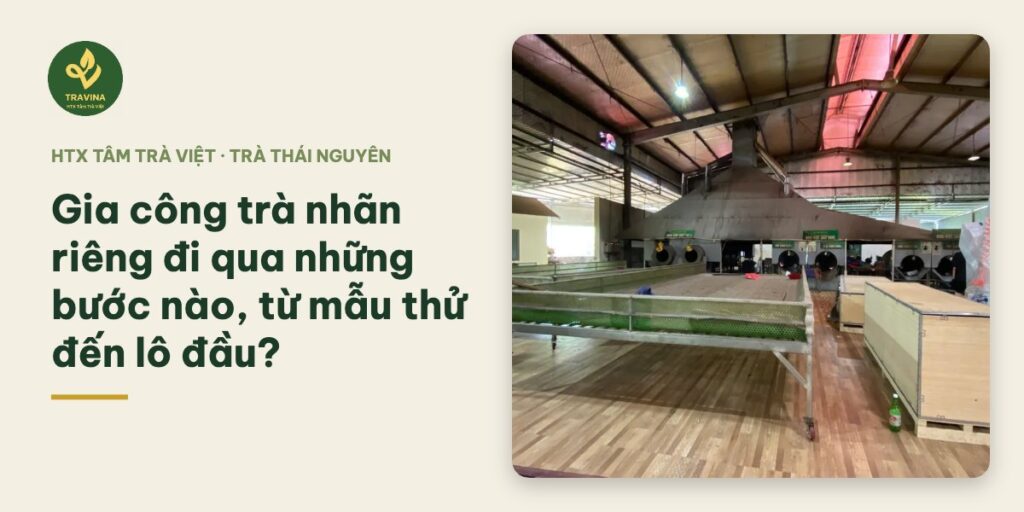Gia công trà nhãn riêng đi qua những bước nào, từ mẫu thử đến lô đầu?