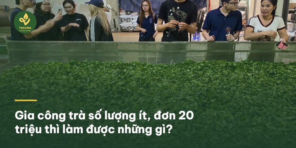 Gia công trà số lượng ít, đơn 20 triệu thì làm được những gì?