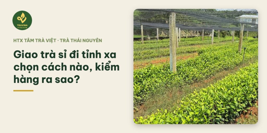 Giao trà sỉ đi tỉnh xa chọn cách nào, kiểm hàng ra sao? Giao trà sỉ đi tỉnh xa chọn cách nào, kiểm hàng ra sao?