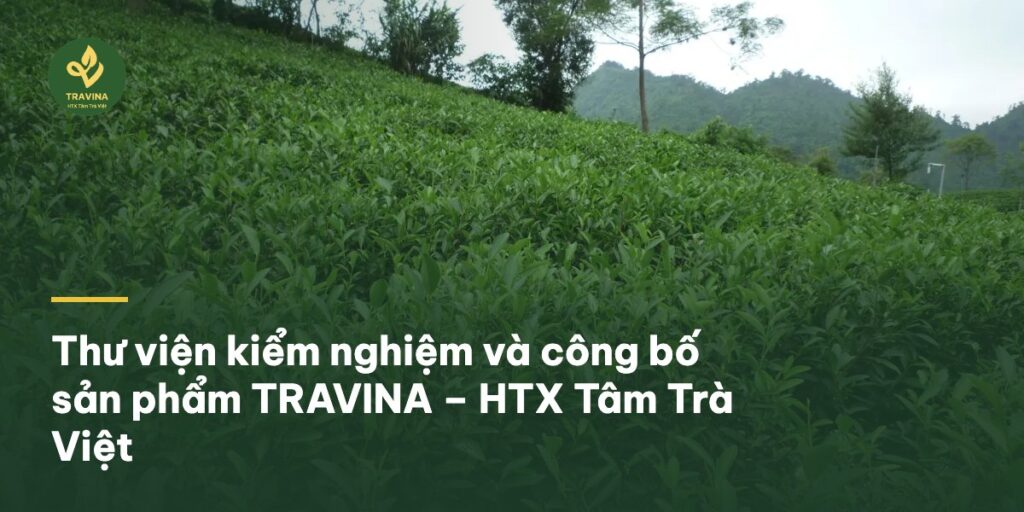 Thư viện kiểm nghiệm và công bố sản phẩm TRAVINA – HTX Tâm Trà Việt