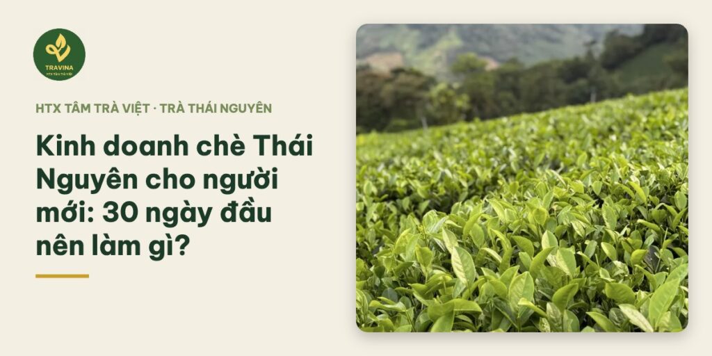 Kinh doanh chè Thái Nguyên cho người mới: 30 ngày đầu nên làm gì?
