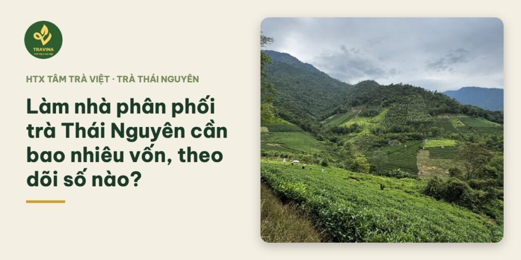 Làm nhà phân phối trà Thái Nguyên cần bao nhiêu vốn, theo dõi số nào? Làm nhà phân phối trà Thái Nguyên cần bao nhiêu vốn, theo dõi số nào?