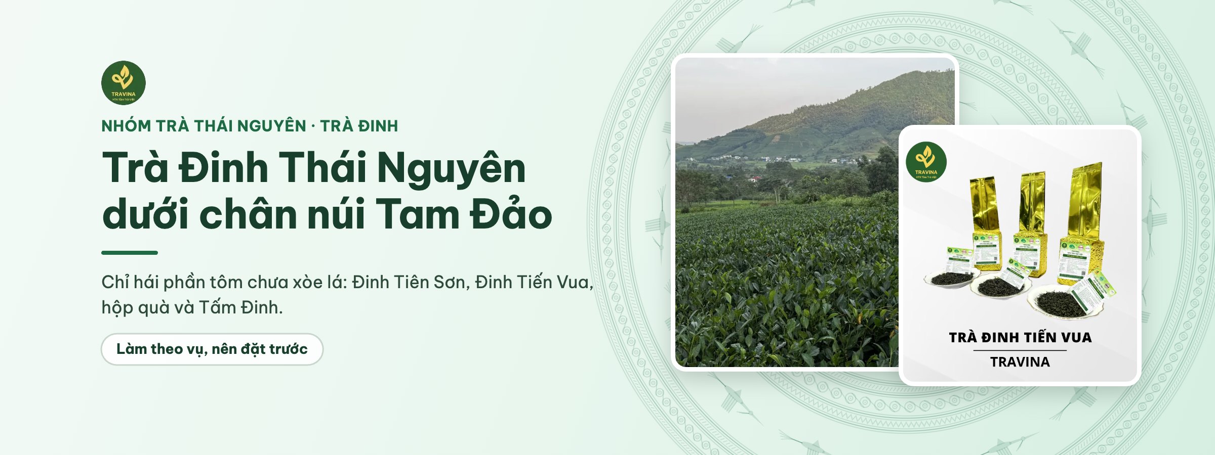 Trà Đinh Thái Nguyên dưới chân núi Tam Đảo