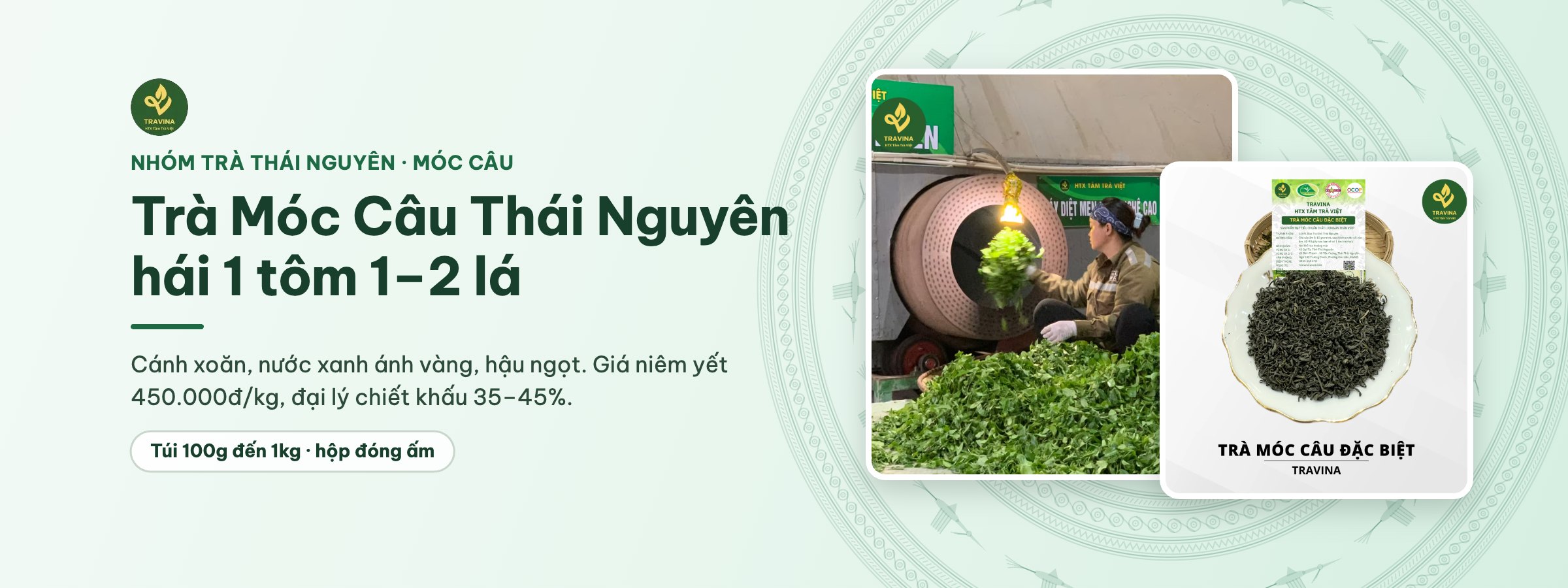 Trà Móc Câu Thái Nguyên hái 1 tôm 1–2 lá