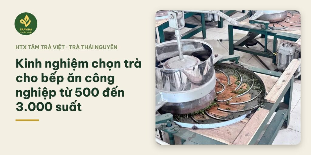 Kinh nghiệm chọn trà cho bếp ăn công nghiệp từ 500 đến 3.000 suất Bìa bài: Kinh nghiệm chọn trà cho bếp ăn công nghiệp từ 500 đến 3.000 suất