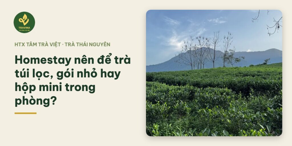Homestay nên để trà túi lọc, gói nhỏ hay hộp mini trong phòng? Bìa bài: Homestay nên để trà túi lọc, gói nhỏ hay hộp mini trong phòng?